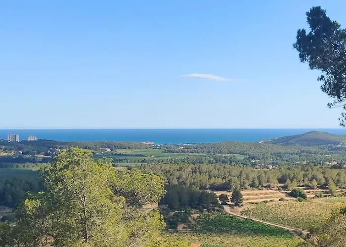Anima Del Garraf *