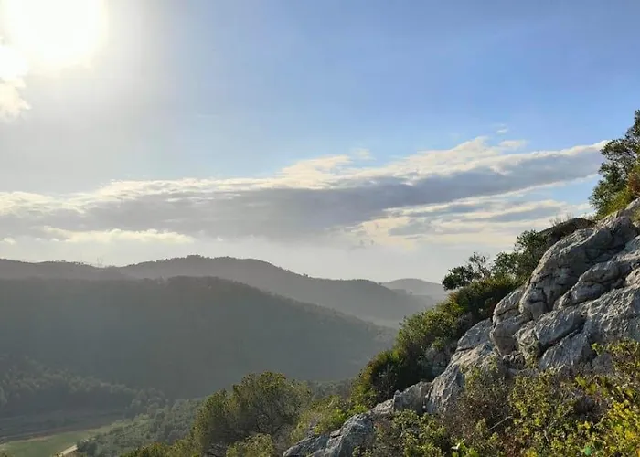 Anima Del Garraf *